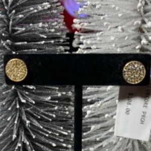 AQUA Gold tone Flash SS CZ Studs